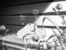 Kanojo to Kanojo no Neko